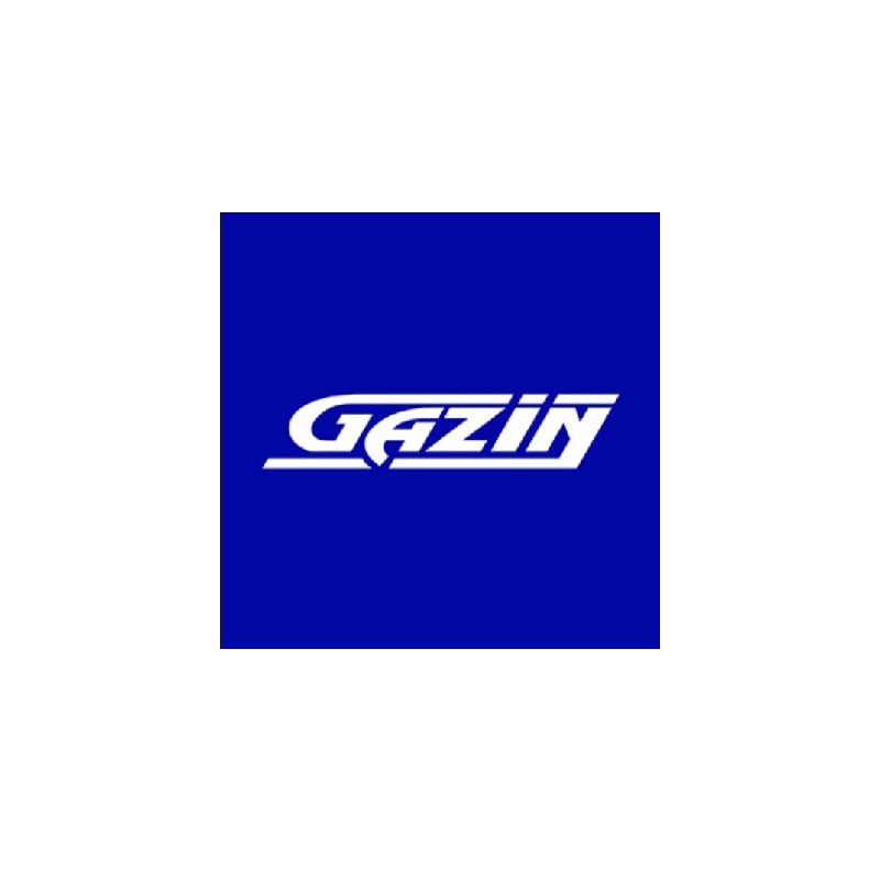 Gazin