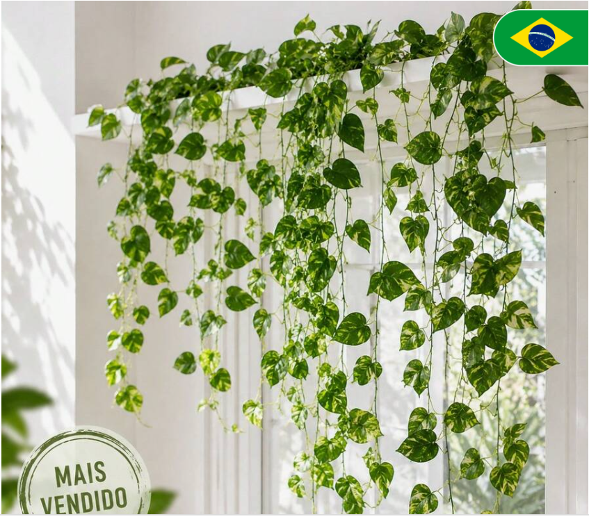 Shein-Casa e Decoração Shein-Casa e Decoração